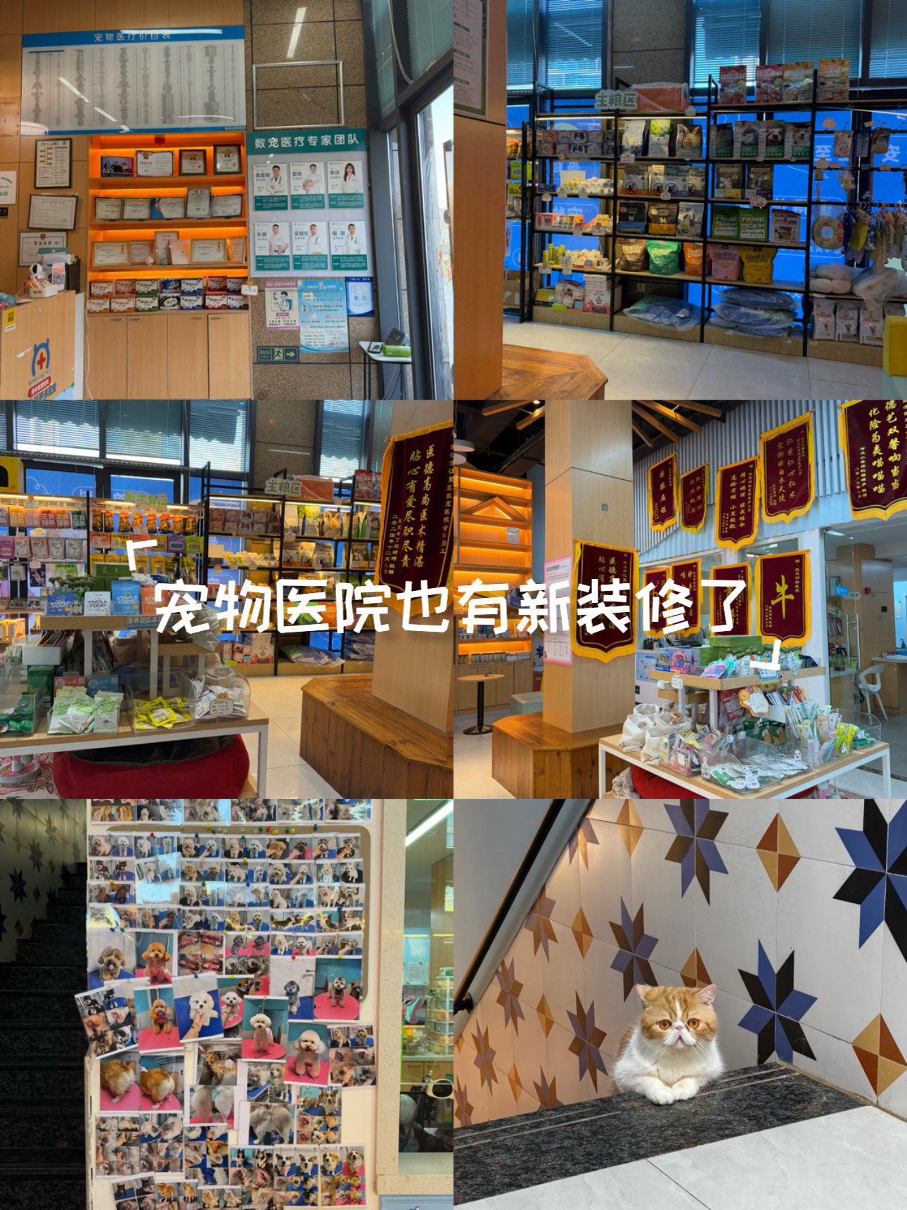 🚴宠物家官方下载最新版本2025-宠物家下载