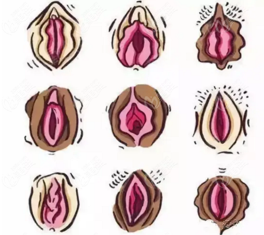 入门教程“私密照片”_bilibili