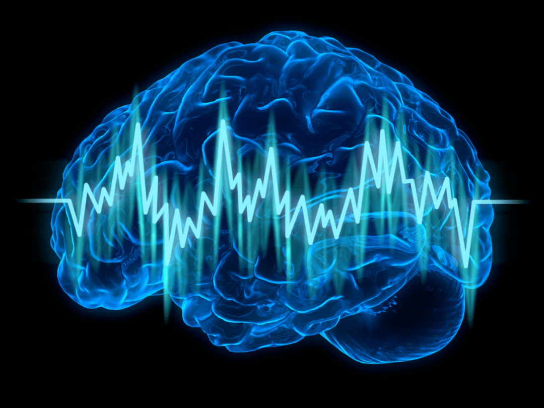 神奇脑波app官方下载-神奇脑波官方app2.2.4最新版