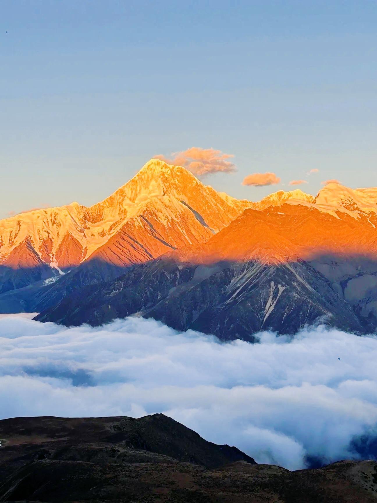 在这儿|在这儿(中国)科技有限公司