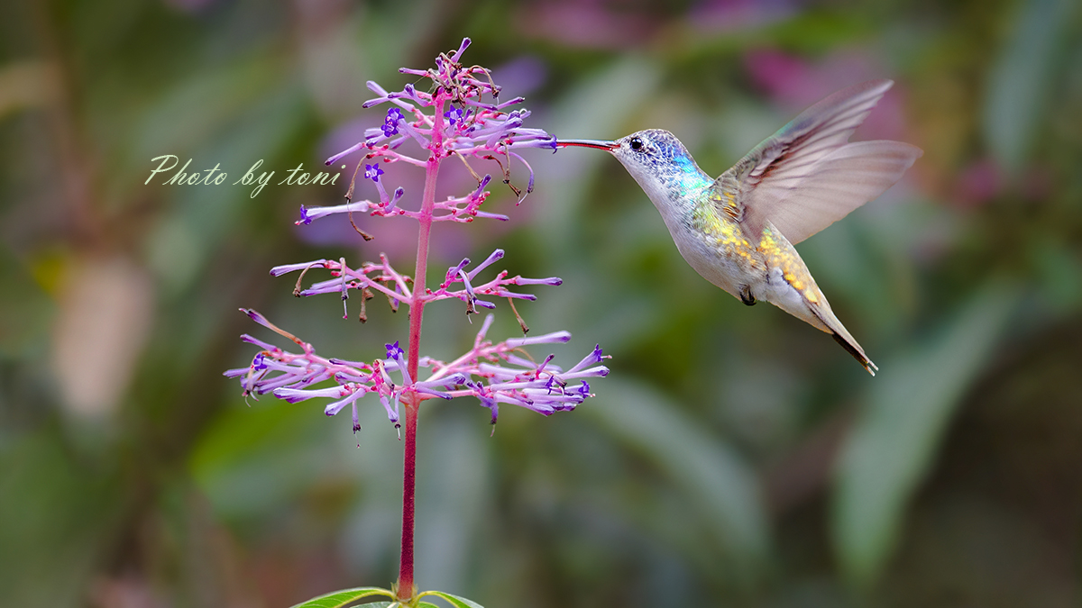文章中心 第155页