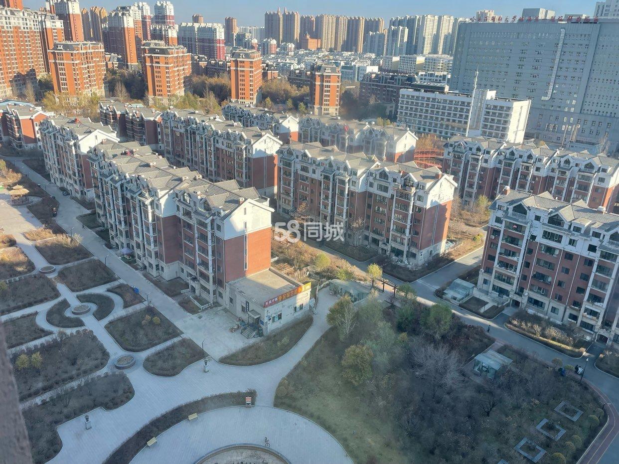 丁香园2025名单,丁香园前五名,让你轻松拥有完美笑容!