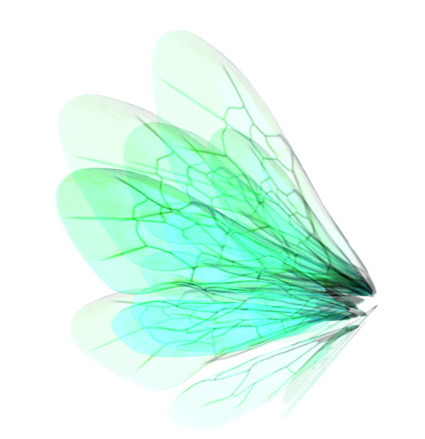 【一起看看】视频抠图精灵-今日排名一览