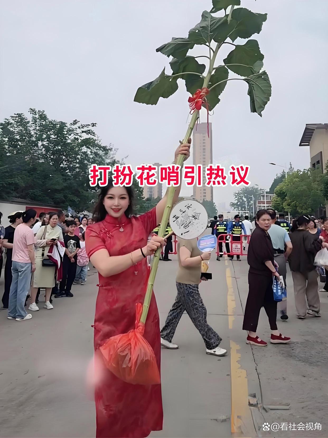 扒一扒向日葵妈妈-更新网点