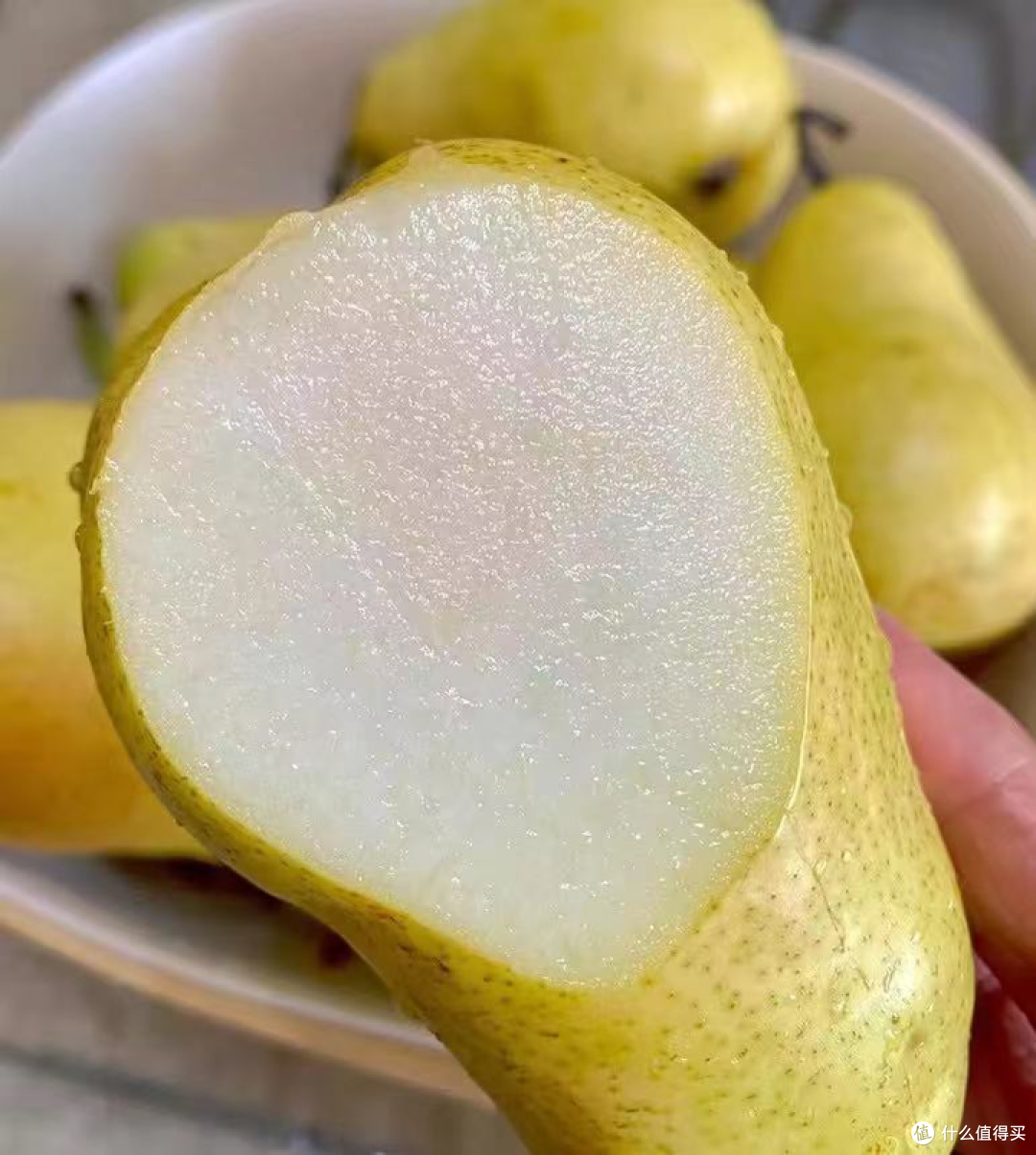 (最新科普)淘果惠给大家科普一下