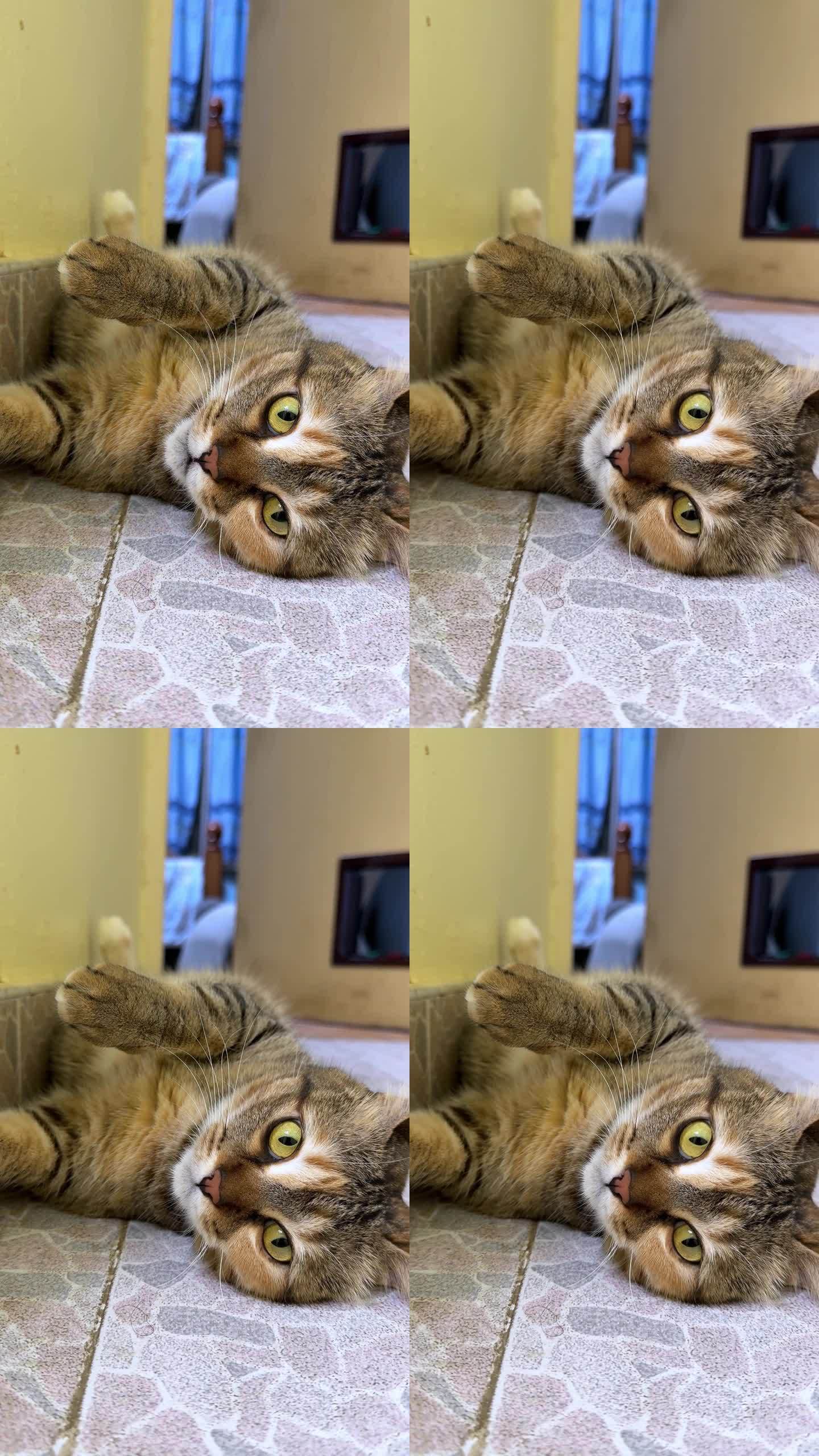 3分钟指南:猫扑视频2025.10.12.20.32.02-新闻详情