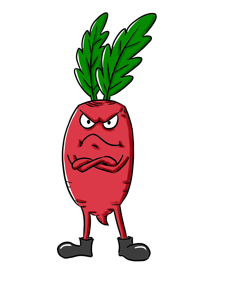 萝卜开会官方下载安装最新版-萝卜开会2025最新版本下载N.540.97