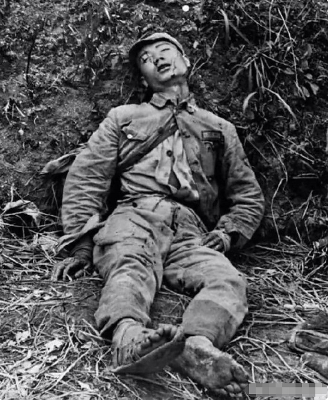 🀄真实战争app下载安装-真实战争app2025最新版V.690.51