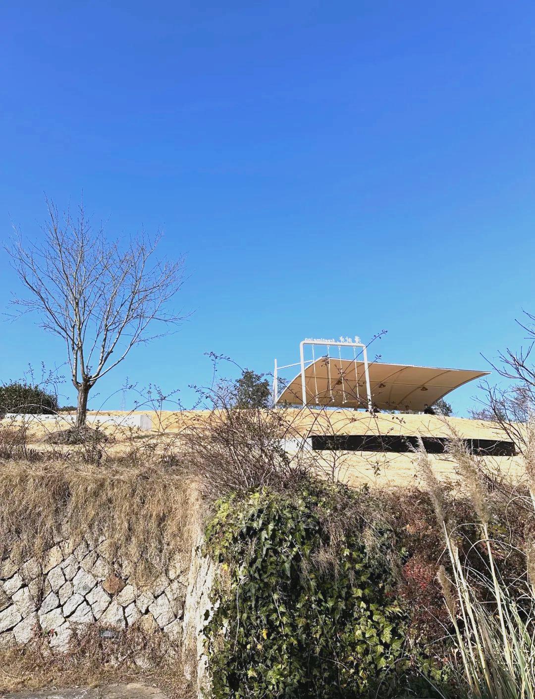 🎢美团民宿app下载安装-美团民宿2025最新版本下载V.583.69