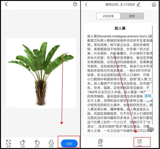 ⚽花草识别appapp下载-花草识别app2025最新版N.571.43