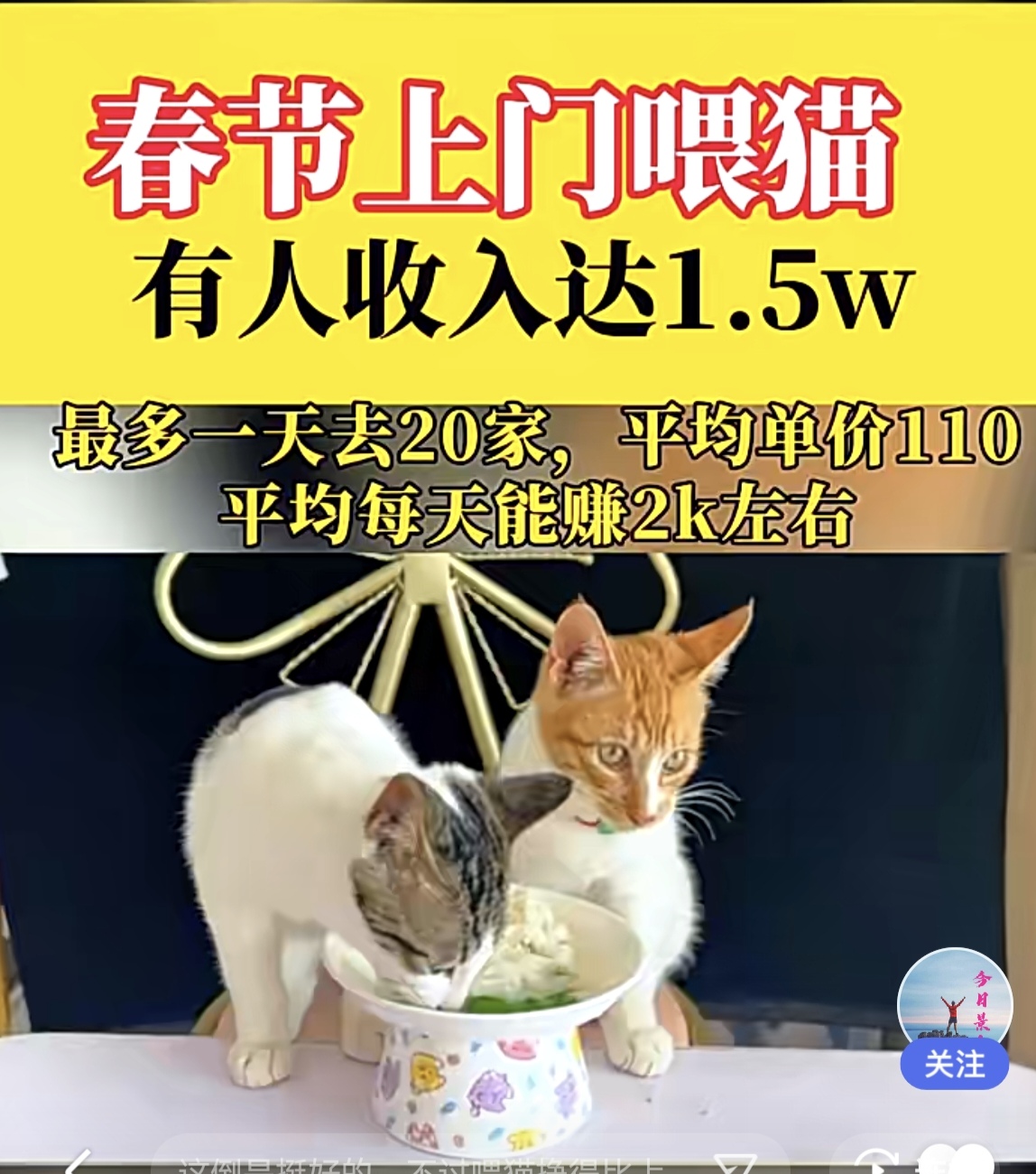 🦋兼职猫官方下载安装-兼职猫官方中文版下载