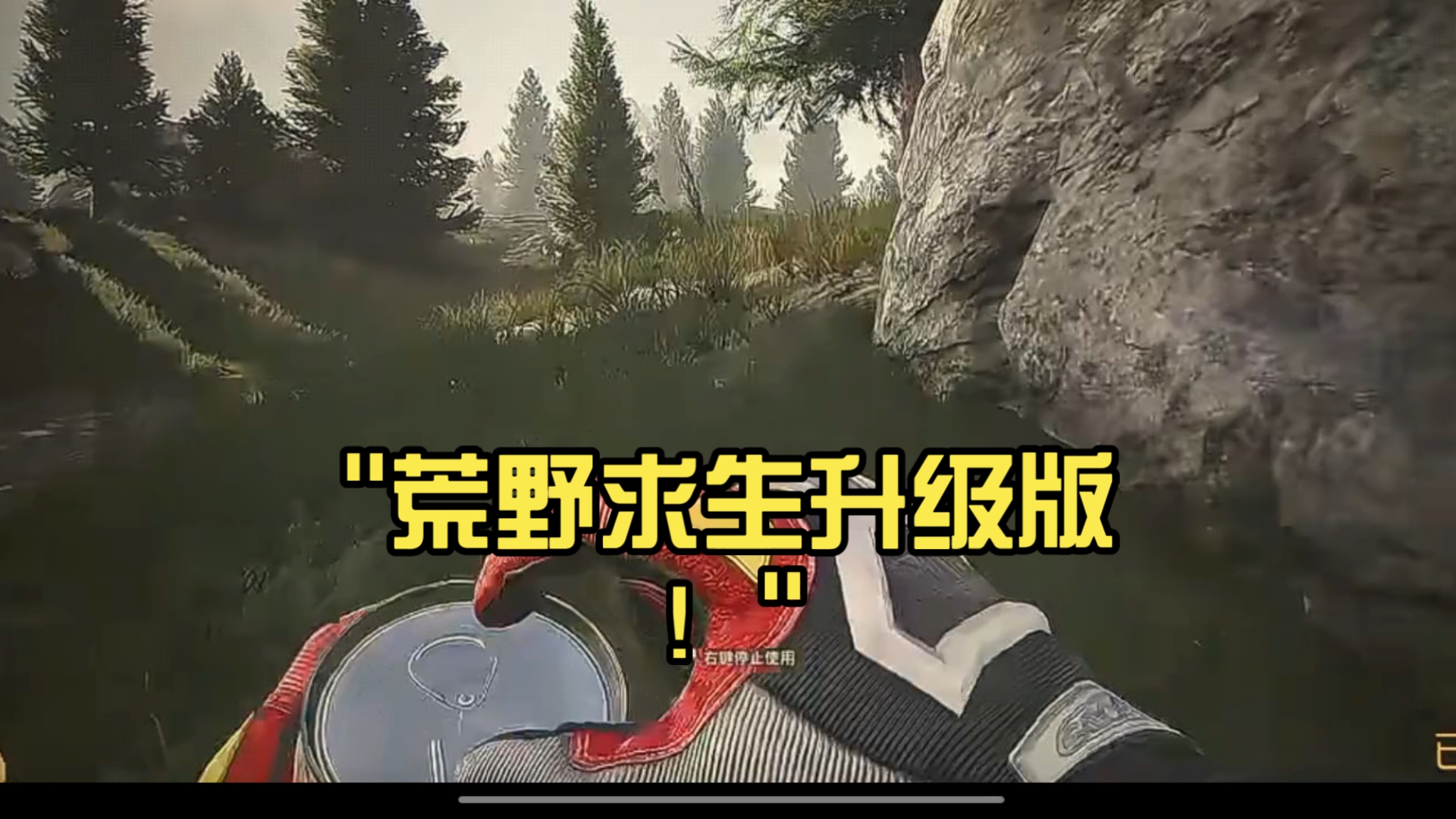 信息细说)荒野求生游戏-全面剖析