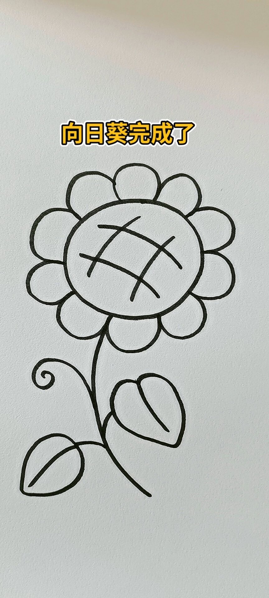 2025年向日葵简约版-给大家推荐