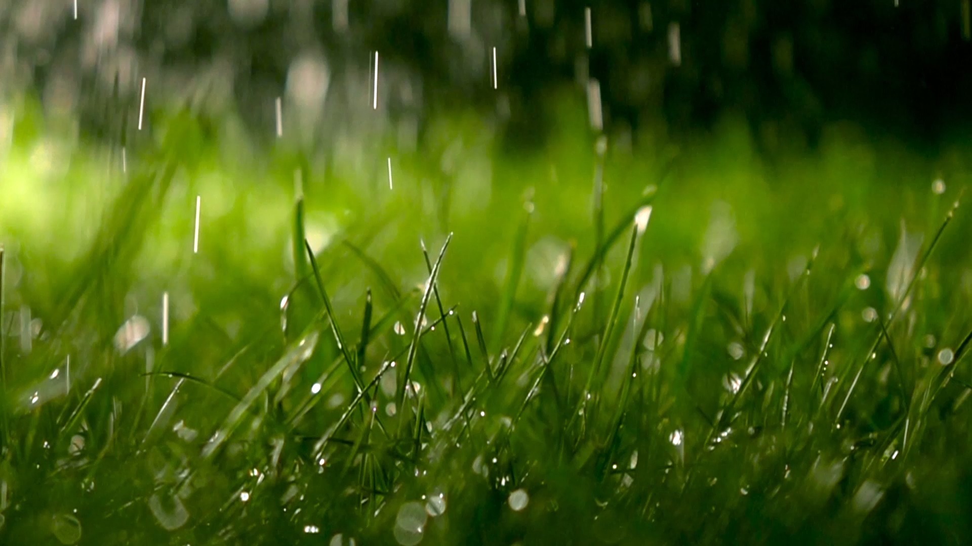 雨滴桌面(Rainmeter)下载-雨滴桌面(Rainmeter)2025最新版本下载V.396.81