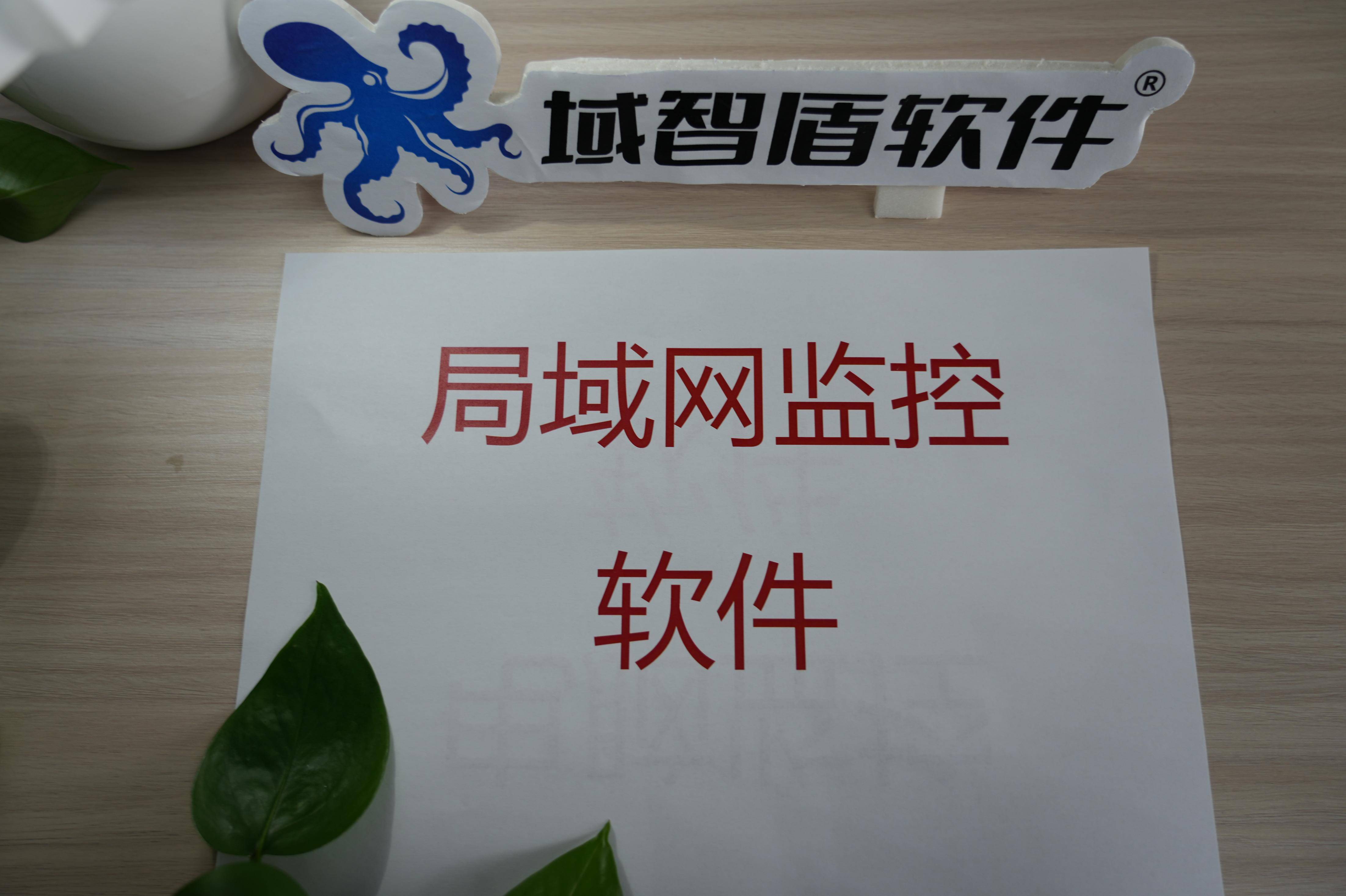 🎢网站安全应用扫描系统app下载-网站安全应用扫描系统官方中文版下载