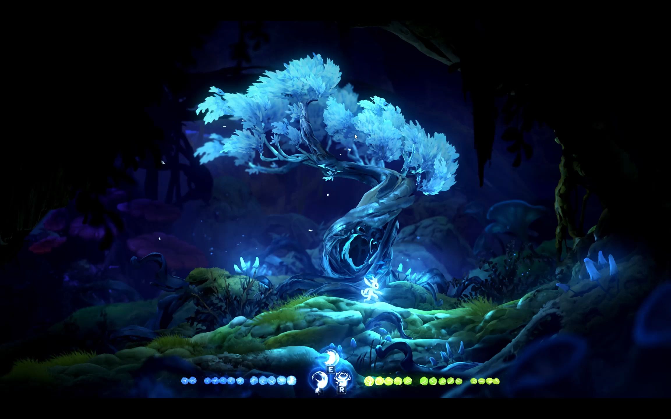 【最新科普】orbited_(2025已更新)