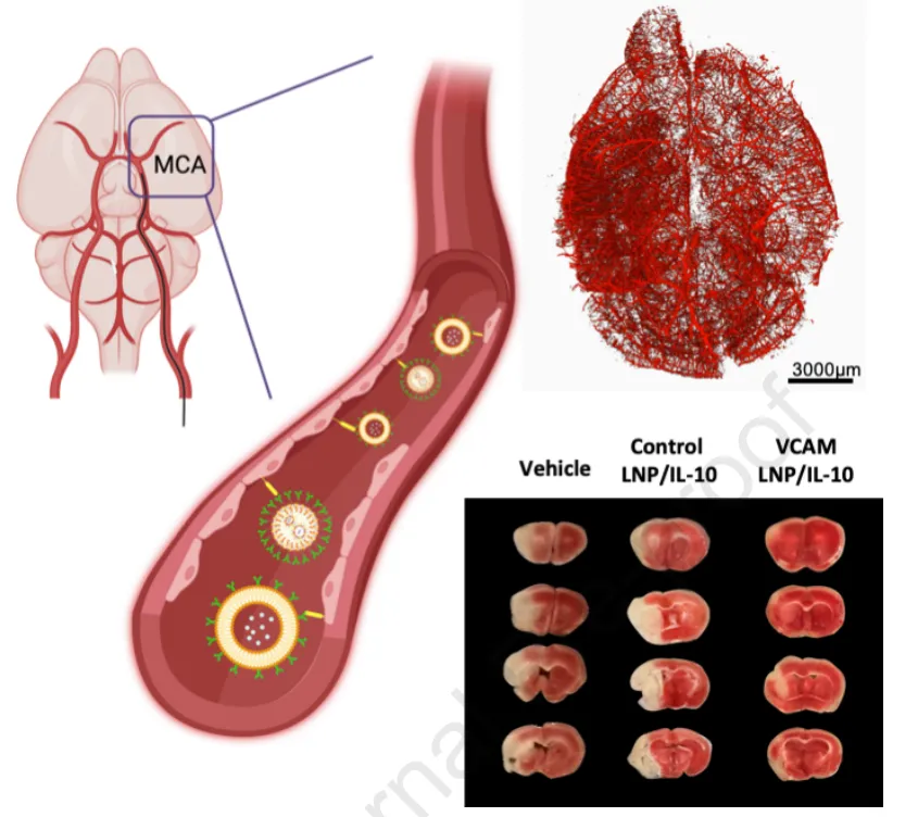 现在给大家科普VCam-今日发布