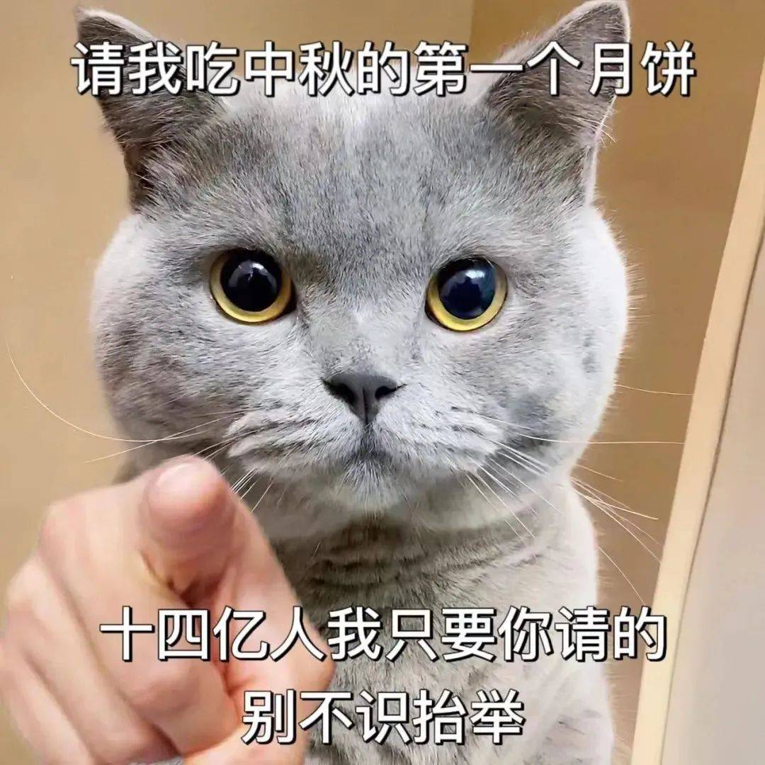 📌表情包大全官方下载安装最新版-表情包大全官方中文版下载