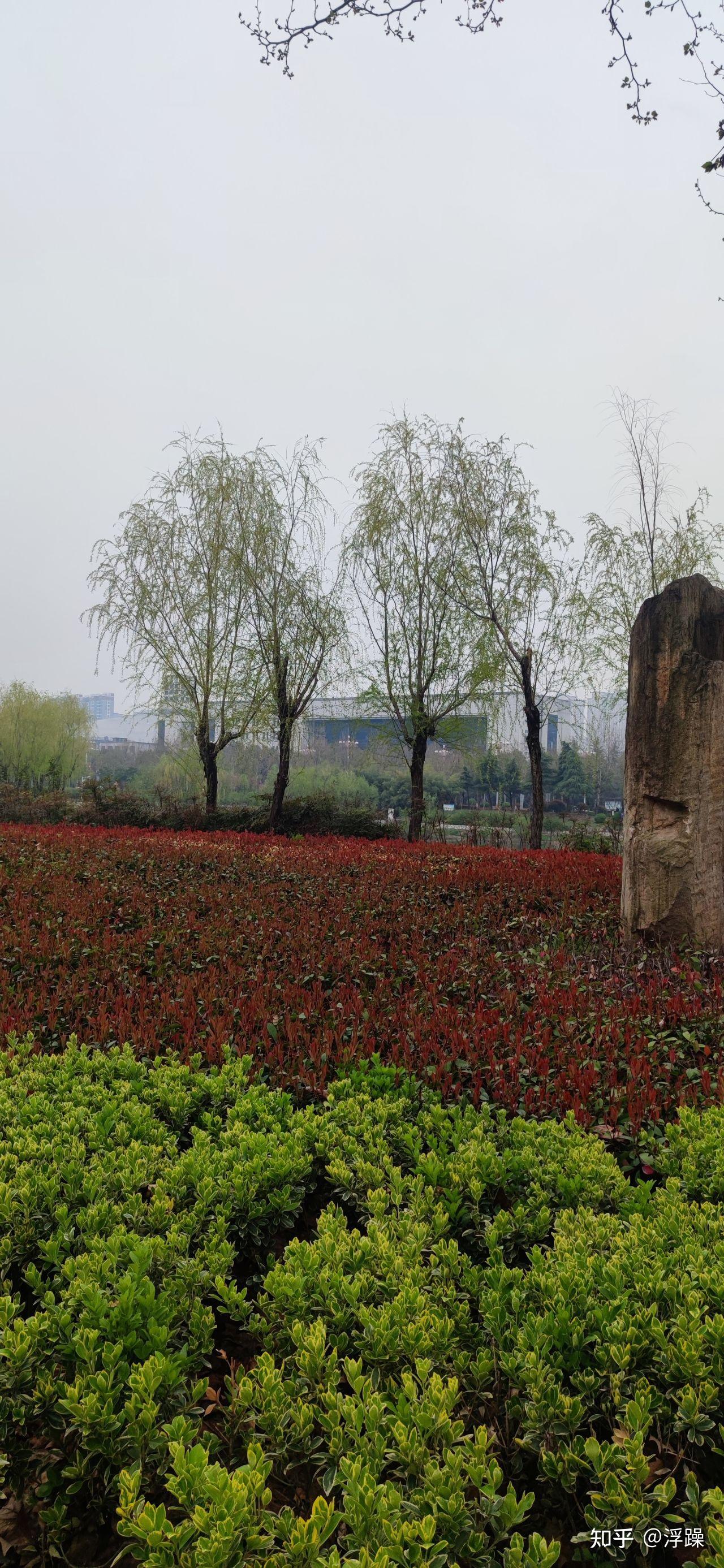 (2秒科普一下)云上黄淮-今日排名一览