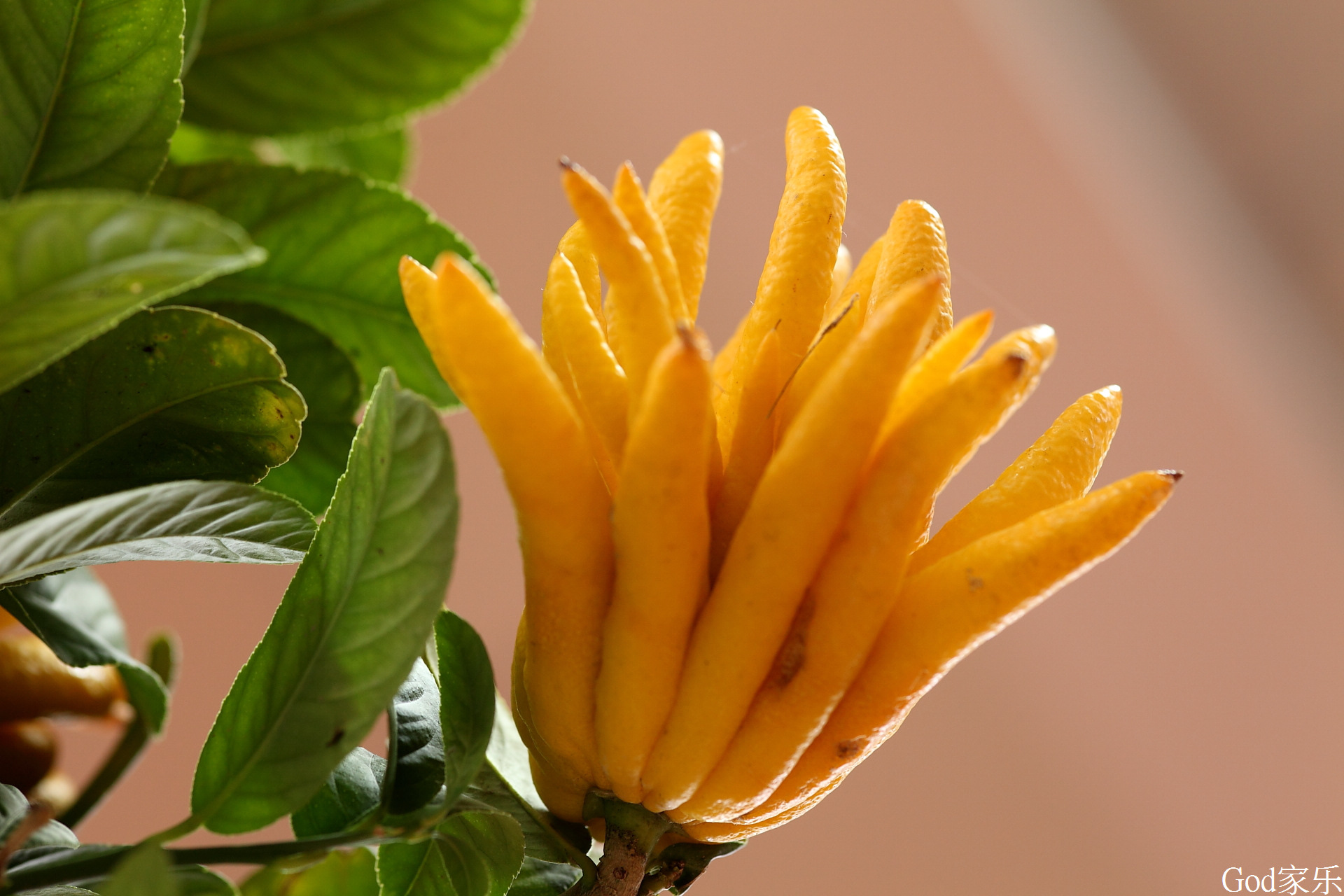 盘点快|金华麻将佛手在线-2025.10.14.14.04.02最新