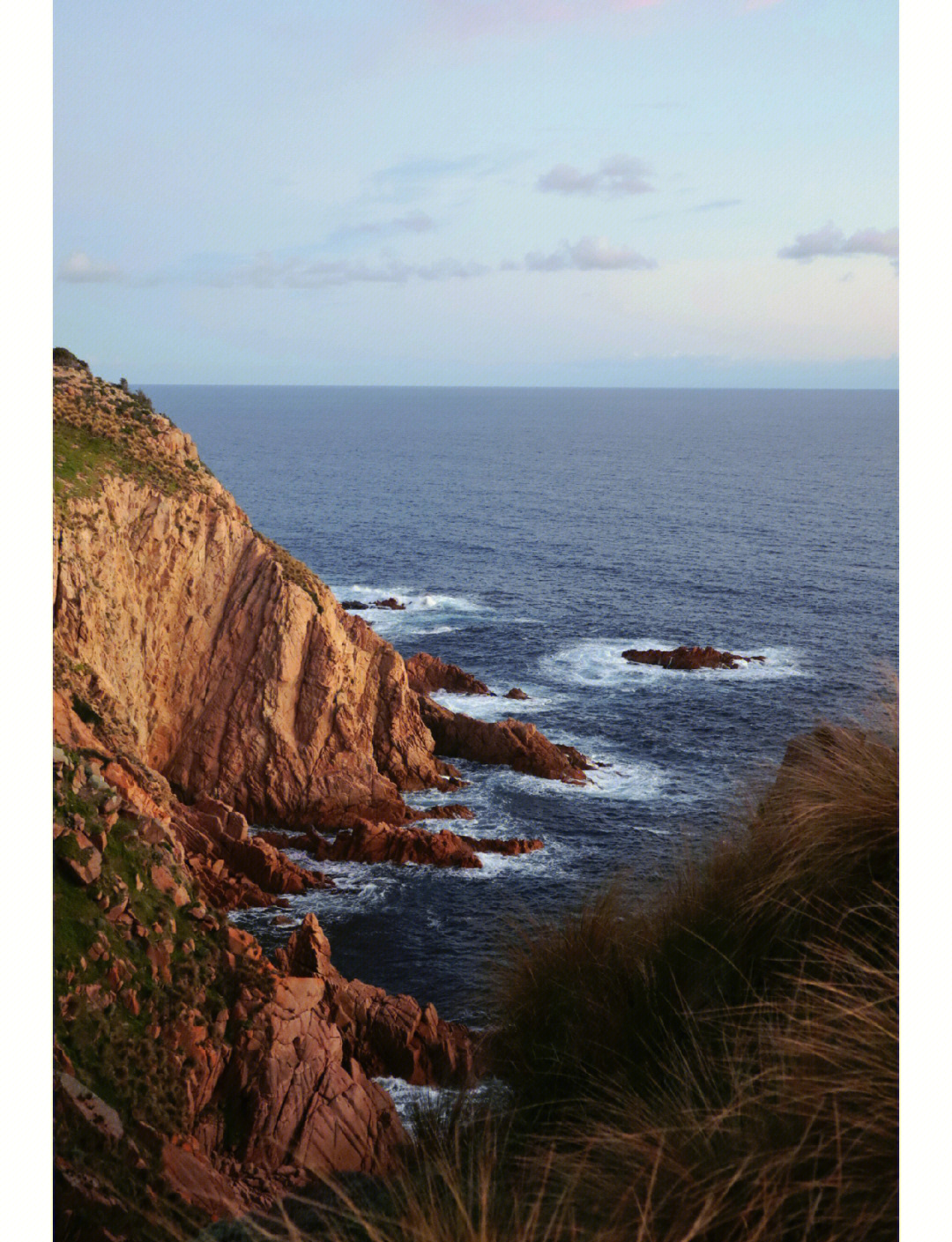 企鹅岛官方正版下载-企鹅岛下载