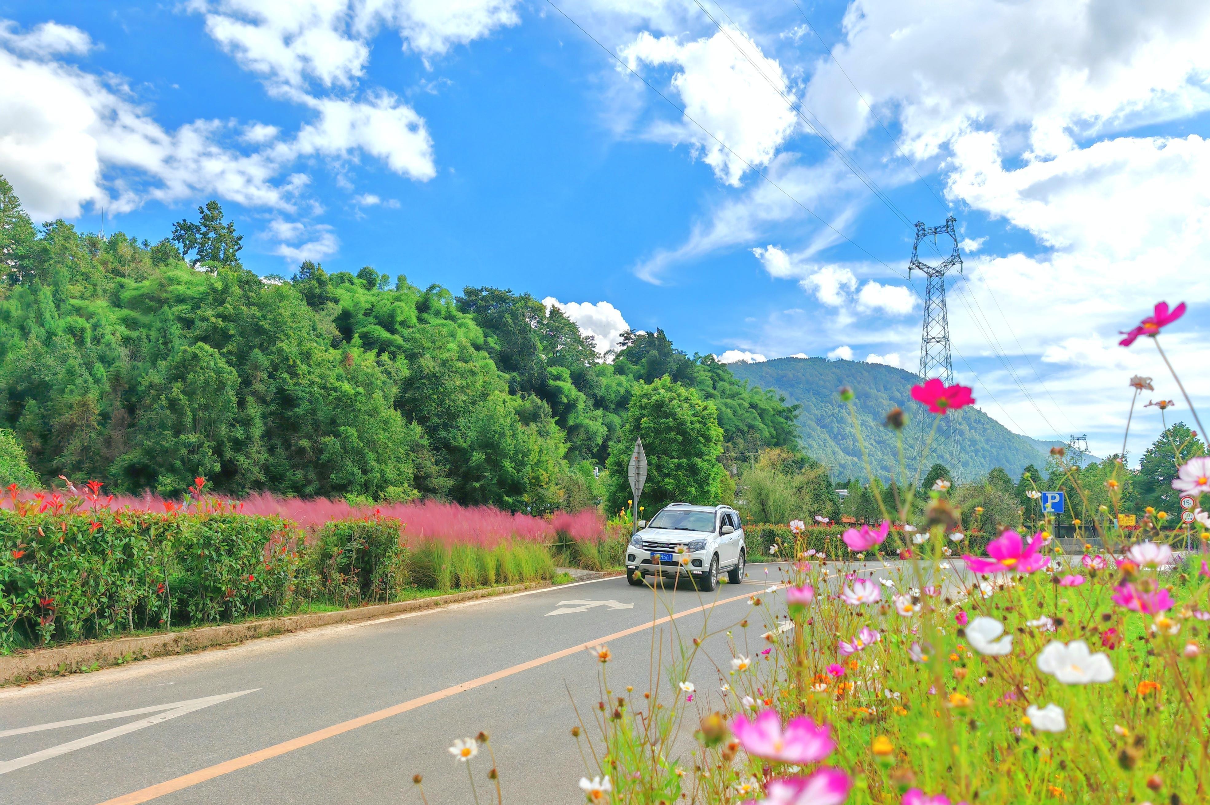 幸福路app下载-幸福路app下载V.658.45