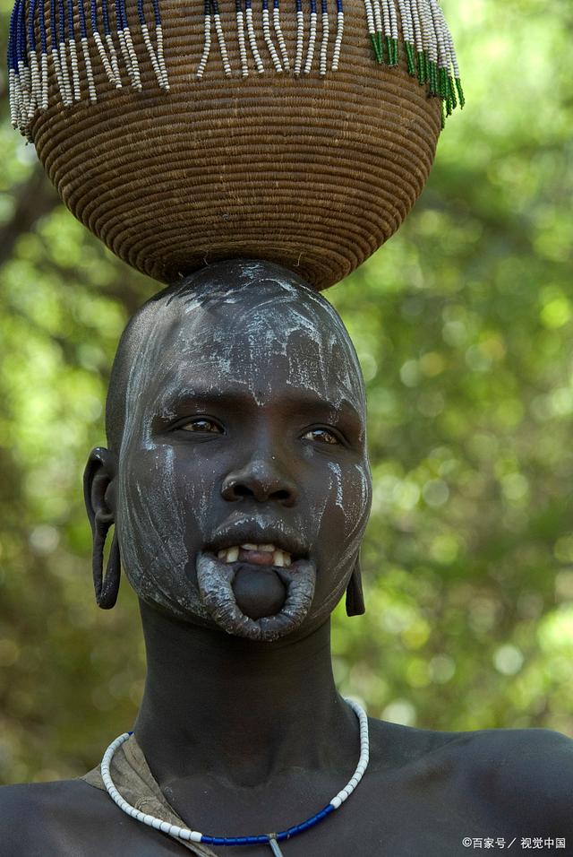 罐子人官方版下载-罐子人app免费下载安装