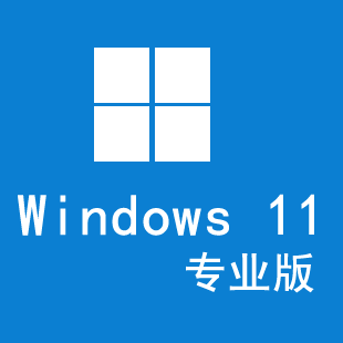 Windows11纯净版下载安装最新版-Windows11纯净版2025最新版V.320.27