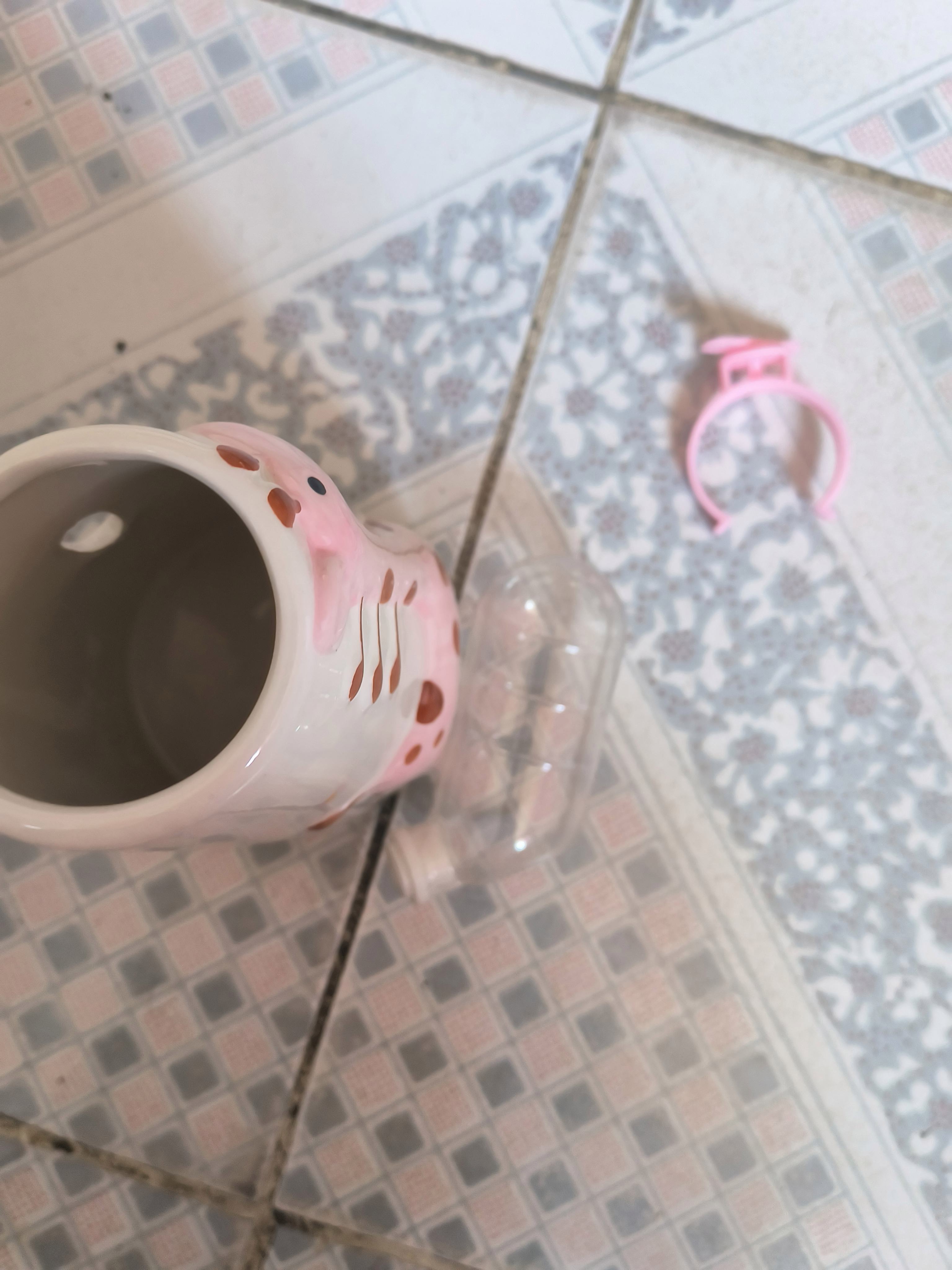 玩家必备科普!仓鼠翻译器(2025.10.15.04.02.03服务更新)