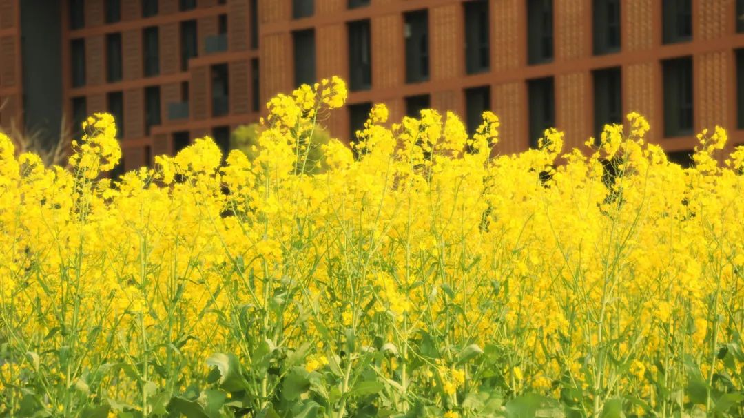 🎢浙里花园app下载安装-浙里花园官方中文版下载