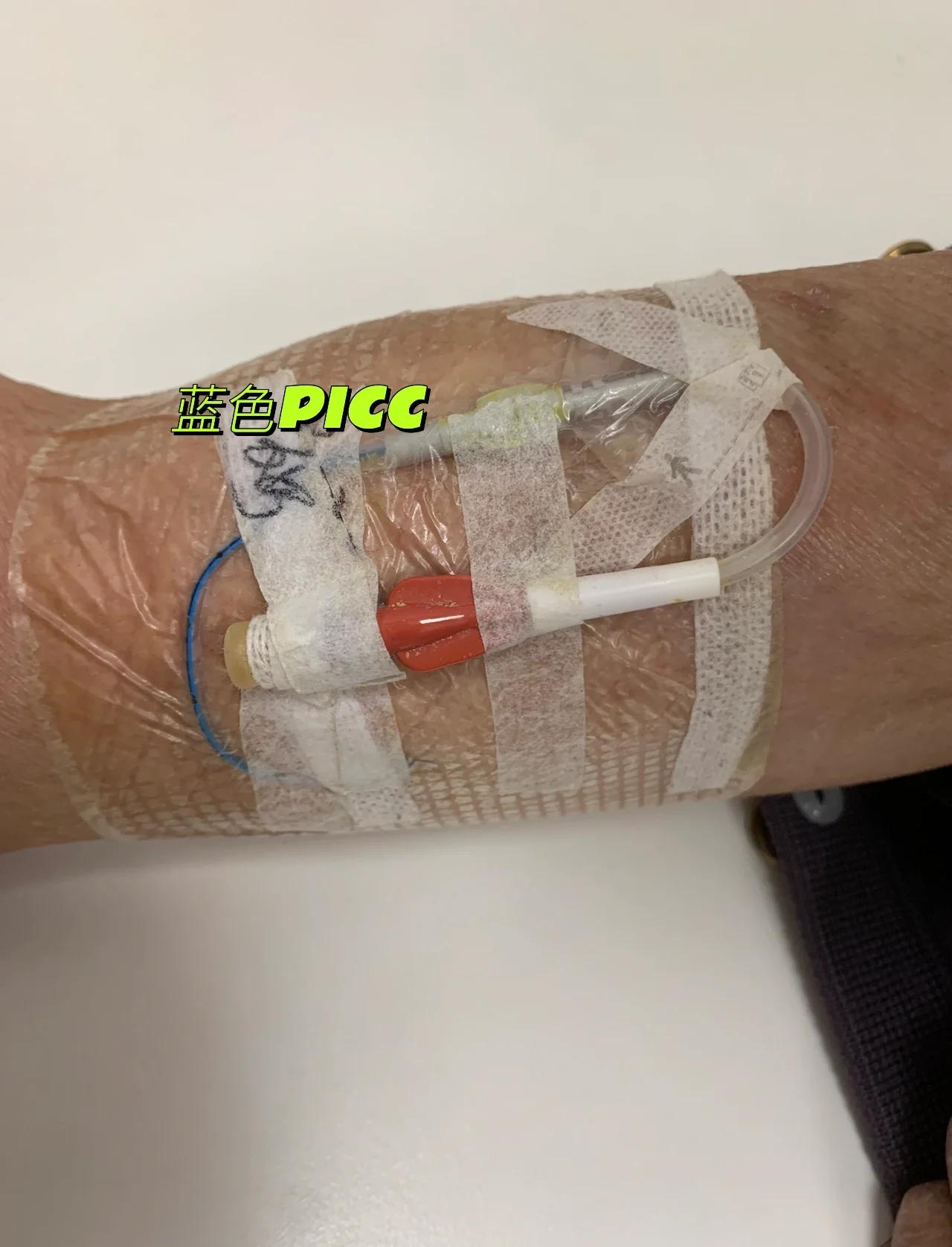 PICC人民健康app下载安装-PICC人民健康下载