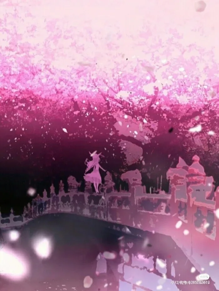 默语音乐官方下载最新版本2025-默语音乐app免费下载安装