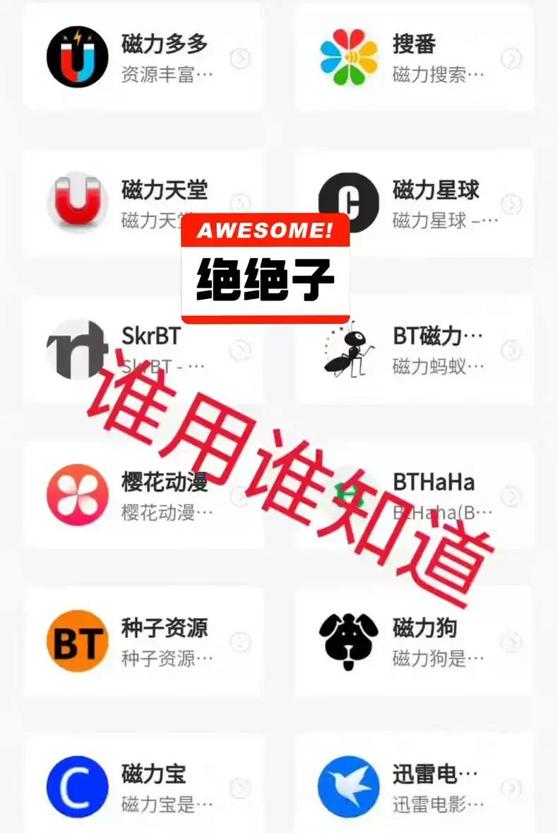 盘点快|迅雷种子搜索器-2025最新