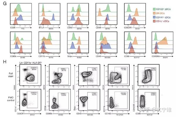flowjo官方下载安装最新版-flowjo2025最新版V.125.14
