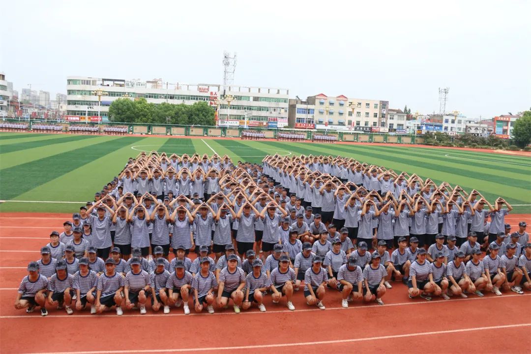 安卓软件 第71页