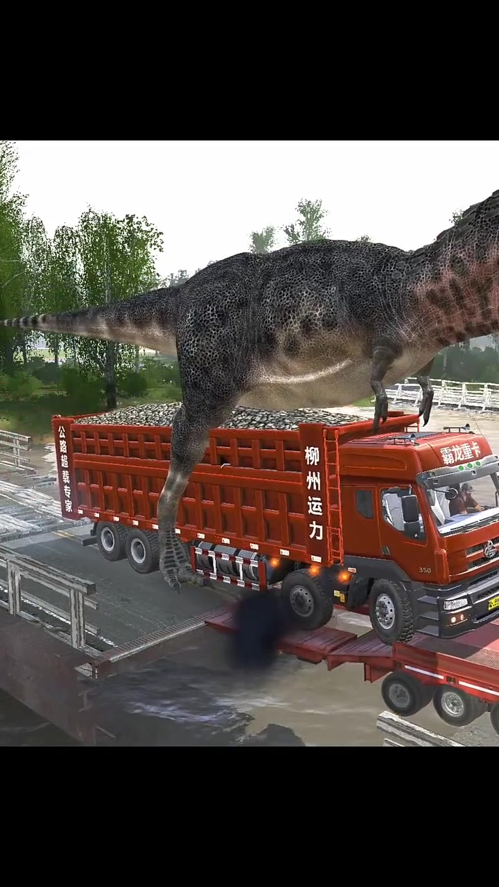 全面分析旋转轮胎(10分钟响应)