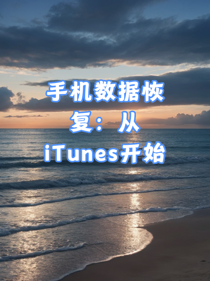 🌺手机视频恢复软件官方下载安装最新版-手机视频恢复软件2025最新版本下载V.209.50