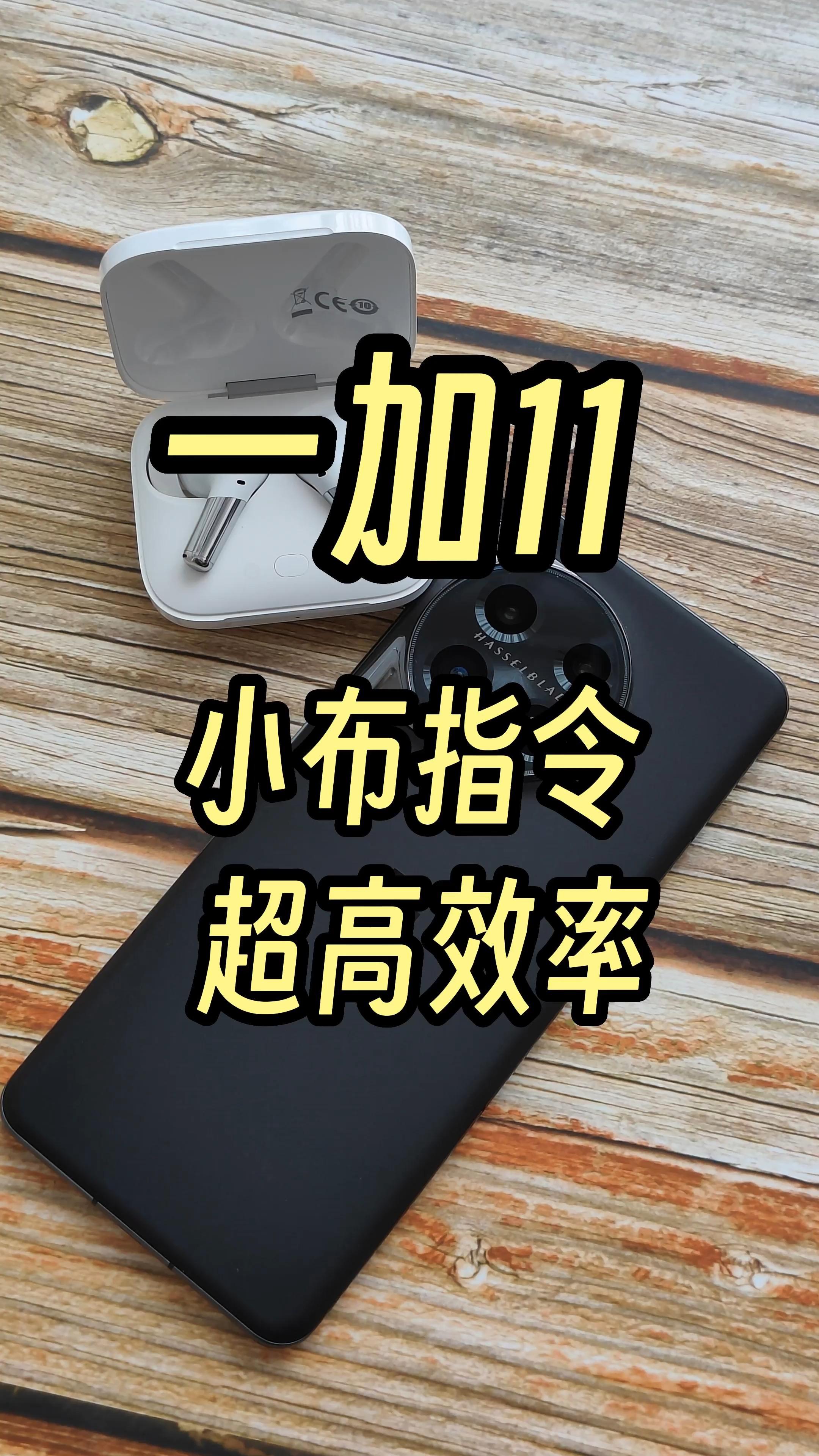🎆小布指令官方版下载-小布指令app下载V.614.89