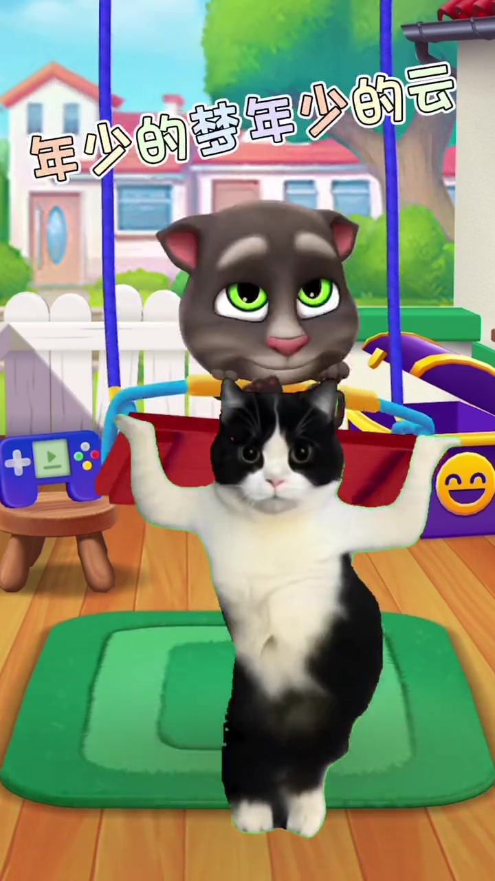 (10分钟速成)会说话的汤姆猫42025.10.16.20.20.04-新闻详情