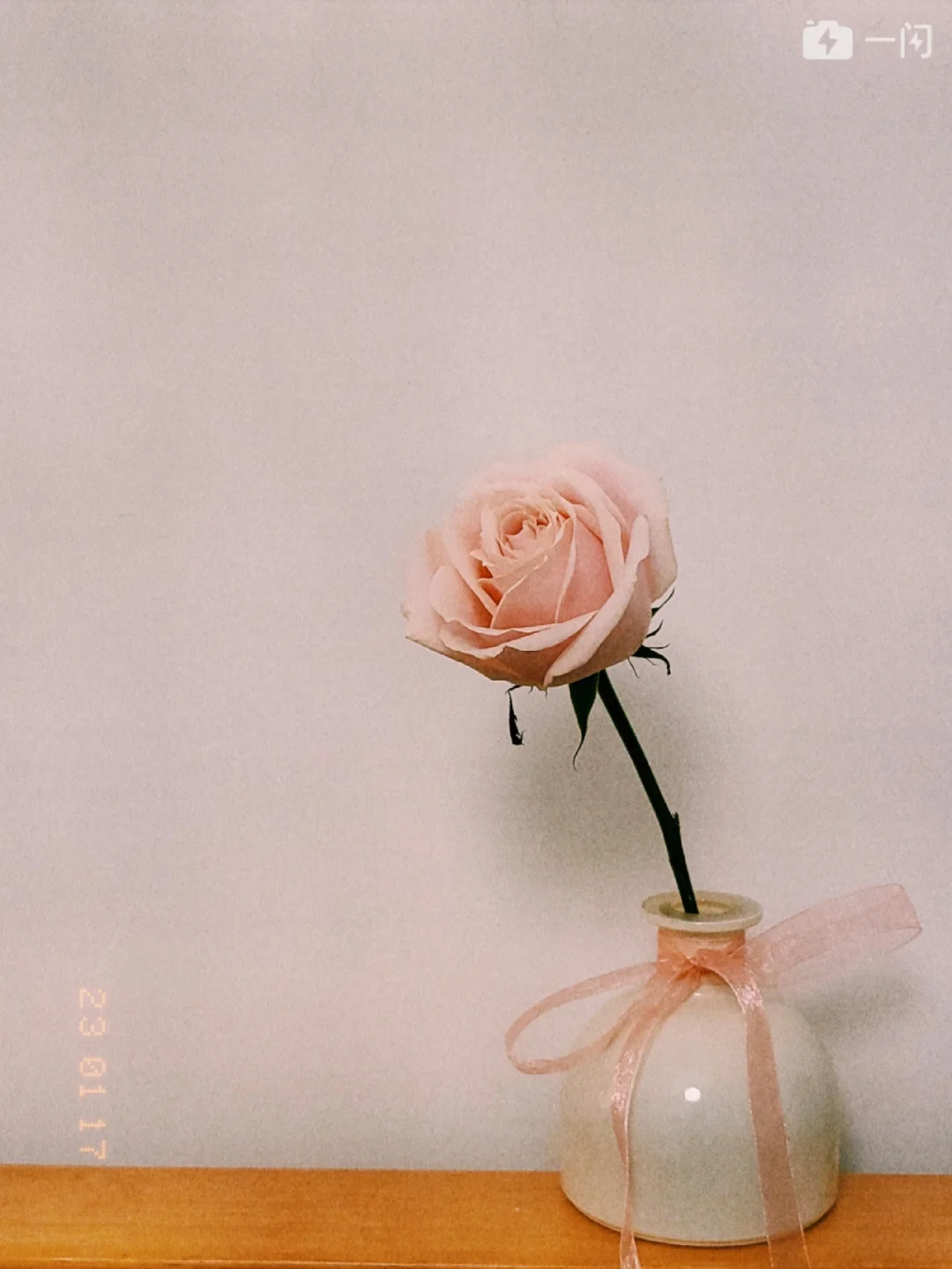 iKnow官方下载最新版本2025-iKnow2025最新版V.575.22