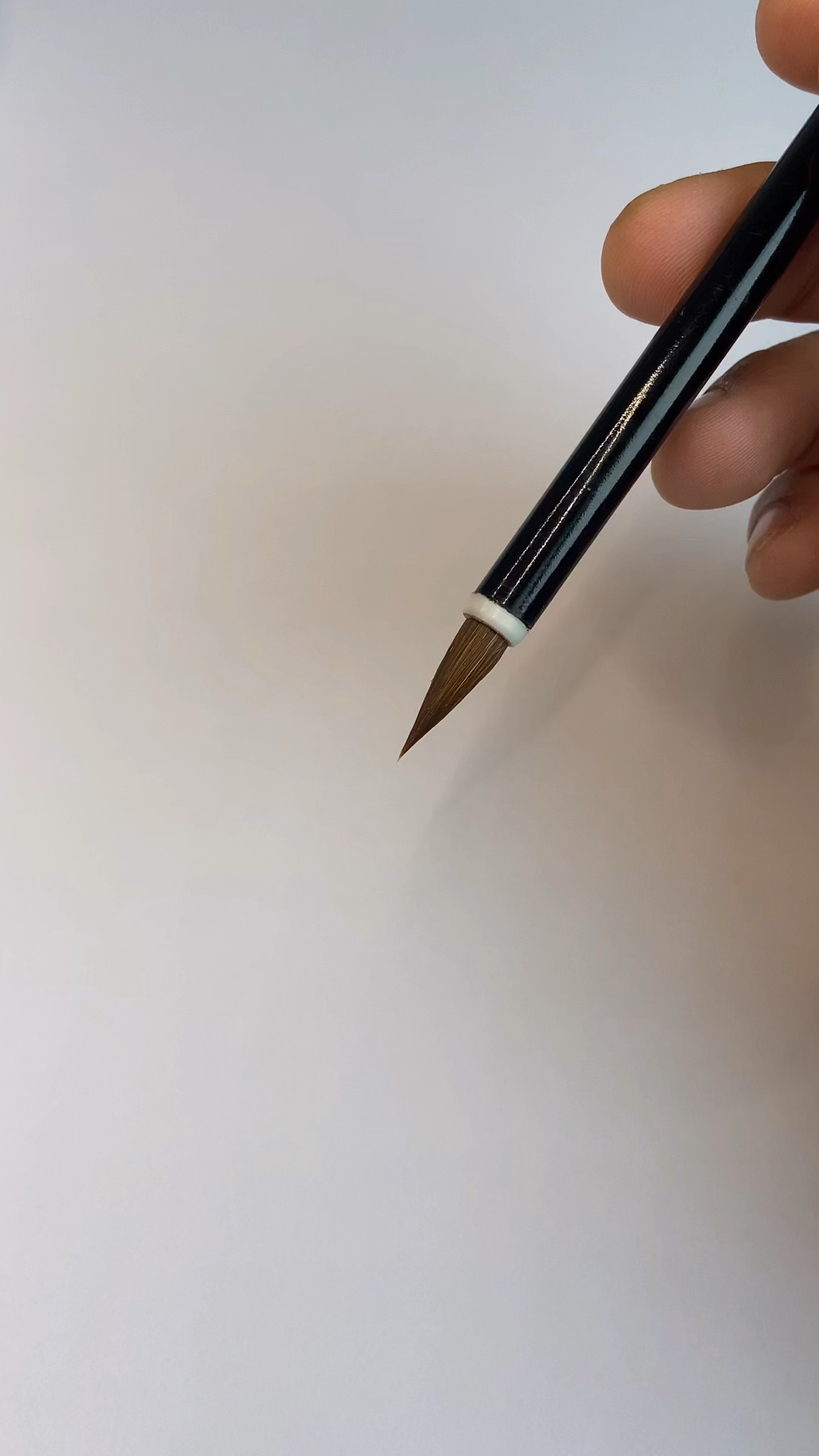 2025精选笔记!小狼毫输入法(2025汇总)