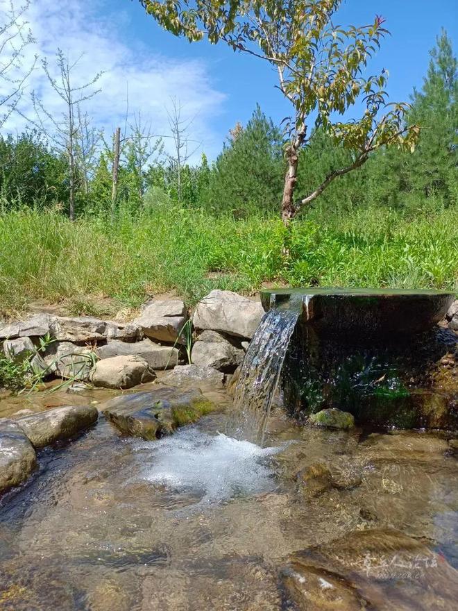 🧧章丘人论坛官方下载安装最新版-章丘人论坛app下载V.503.71