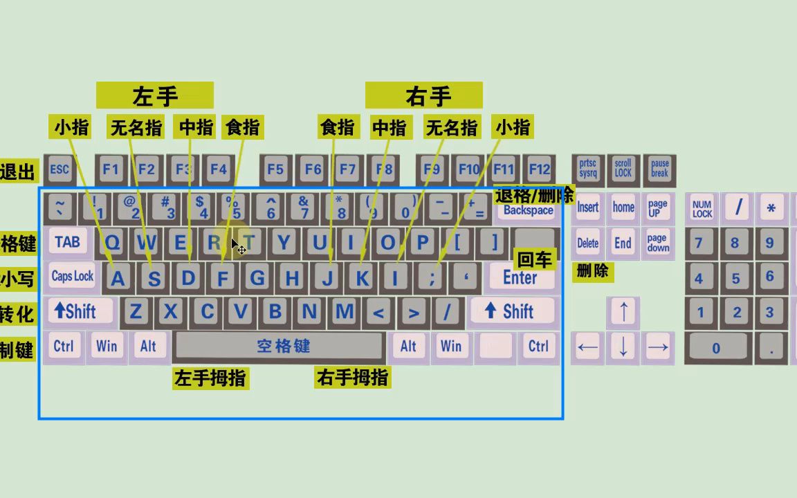 2025年五笔打字通-给大家推荐