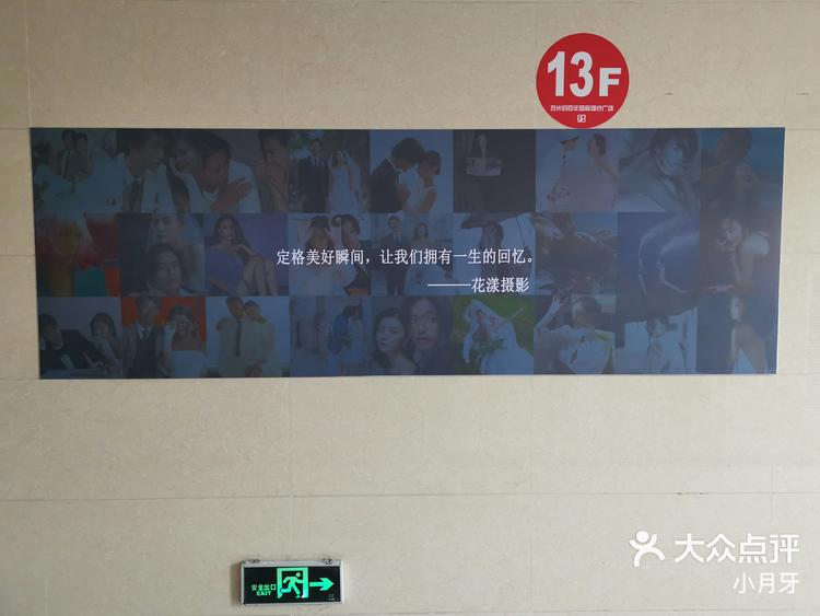 (3分钟速学)花漾搜索app-2025全新上线