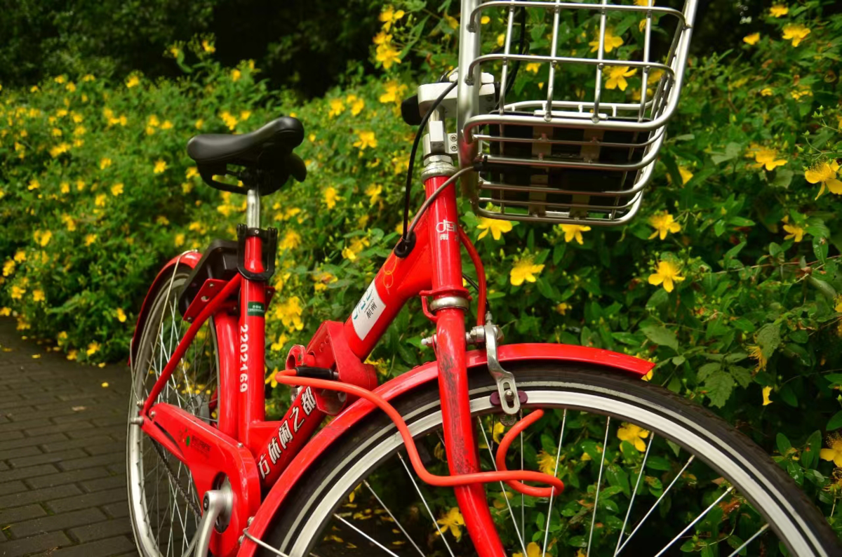 京东直播精选小红车wallpaper