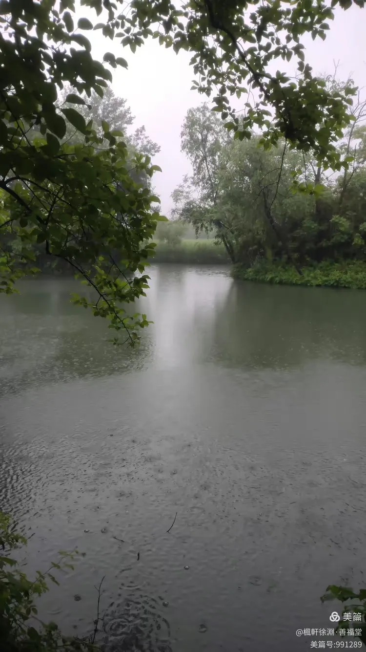 🧧游拍官方下载安装最新版-游拍2025最新版本下载N.824.27