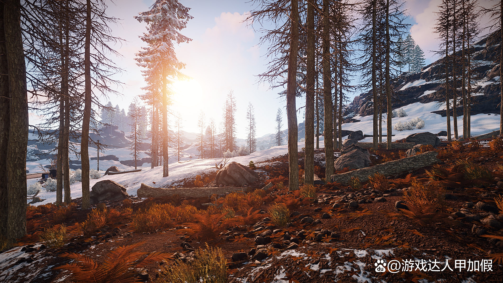 ➡️rust腐蚀游戏官方下载最新版本2025-rust腐蚀游戏app下载V.781.42