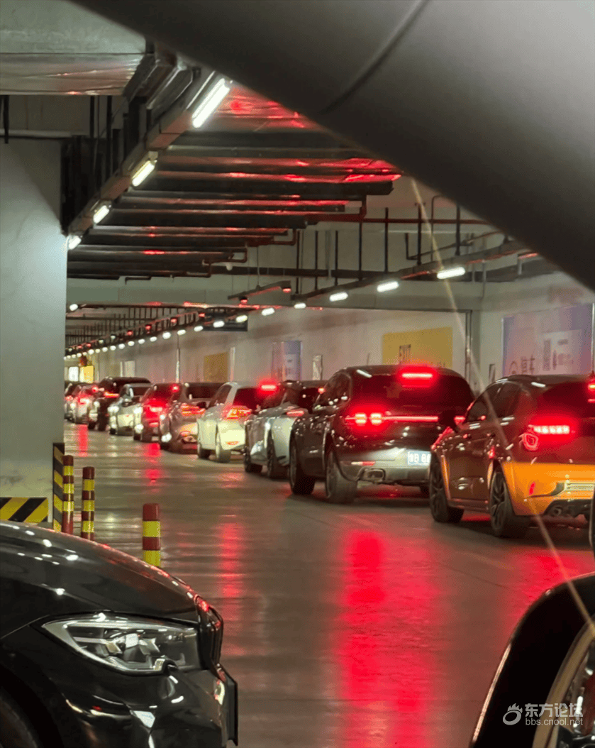 🔥东论宁波官方下载最新版本2025-东论宁波app下载V.125.89