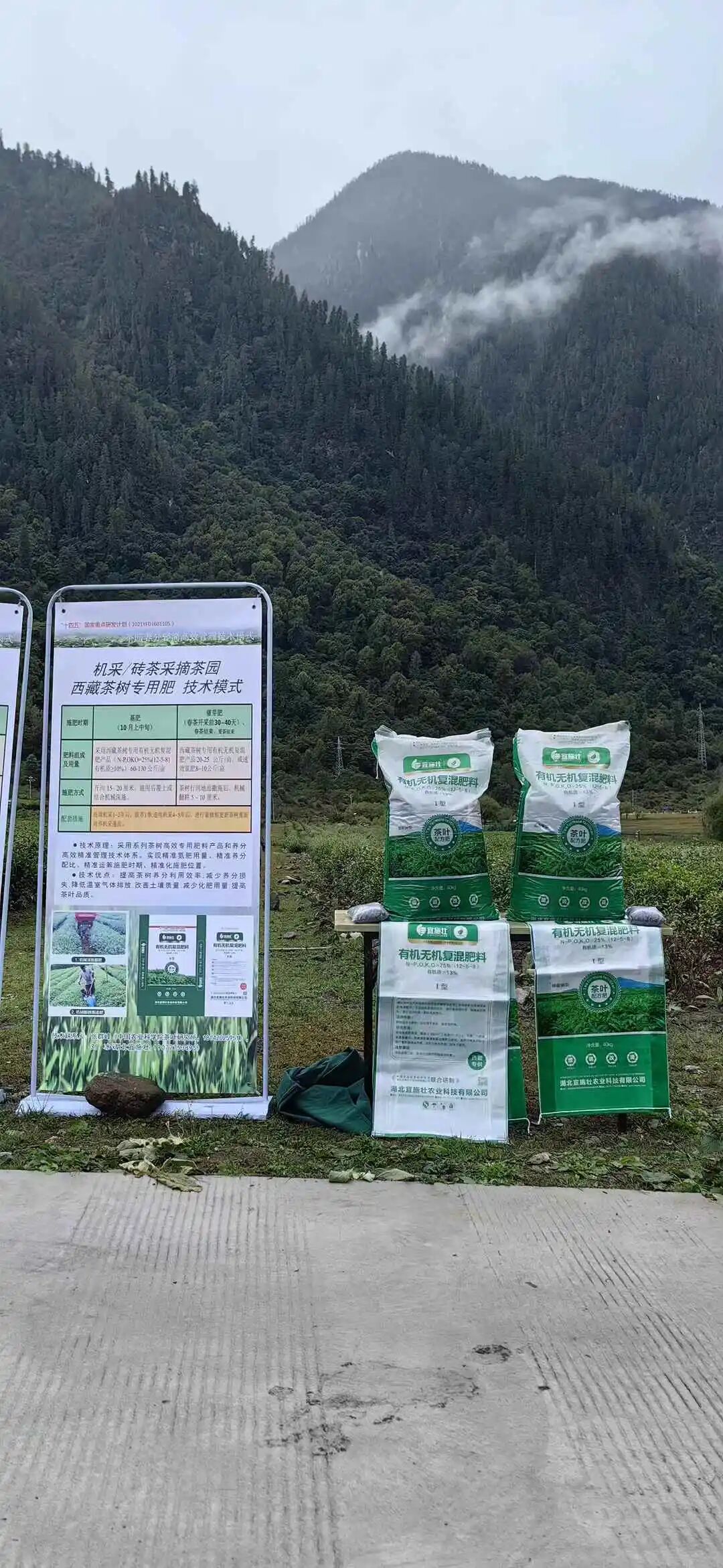 2025年10月20日 第93页