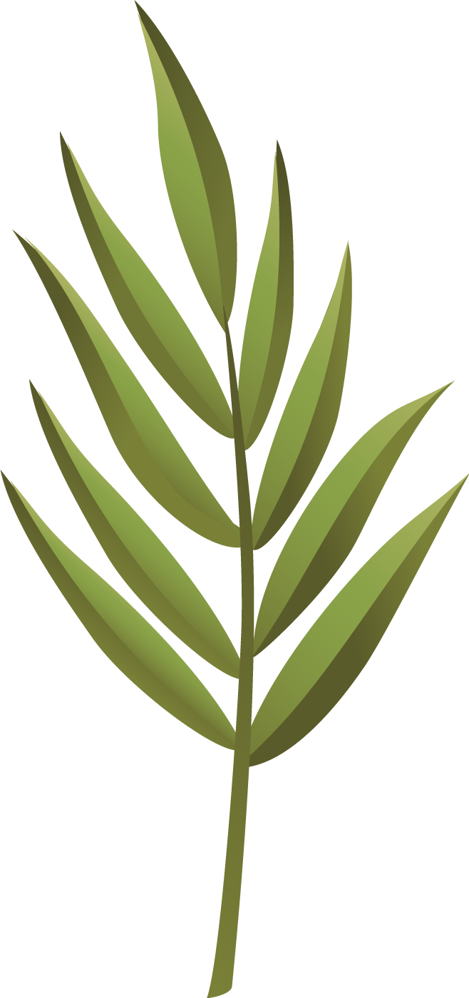 细说秒懂科普)Fotor(10分钟响应)